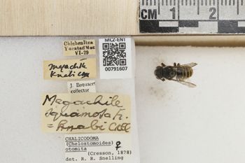 Media type: image;   Entomology 791607 Aspect: Labels